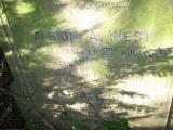 image of grave number 504761